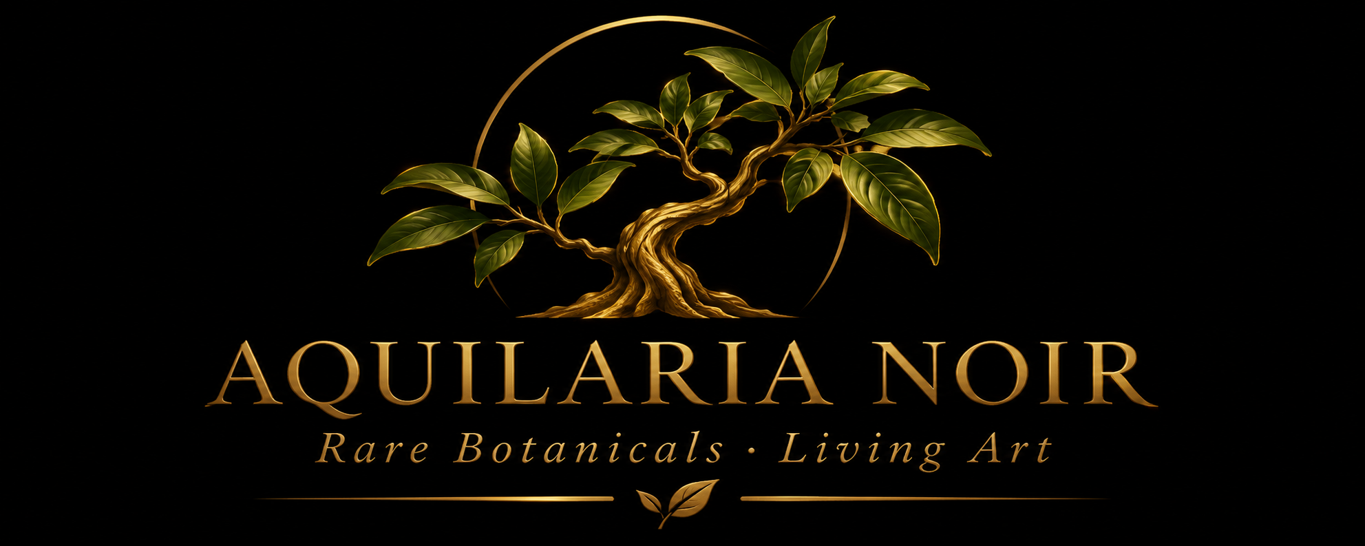 AQUILARIA NOIR — gold botanical tree emblem and brand lettering